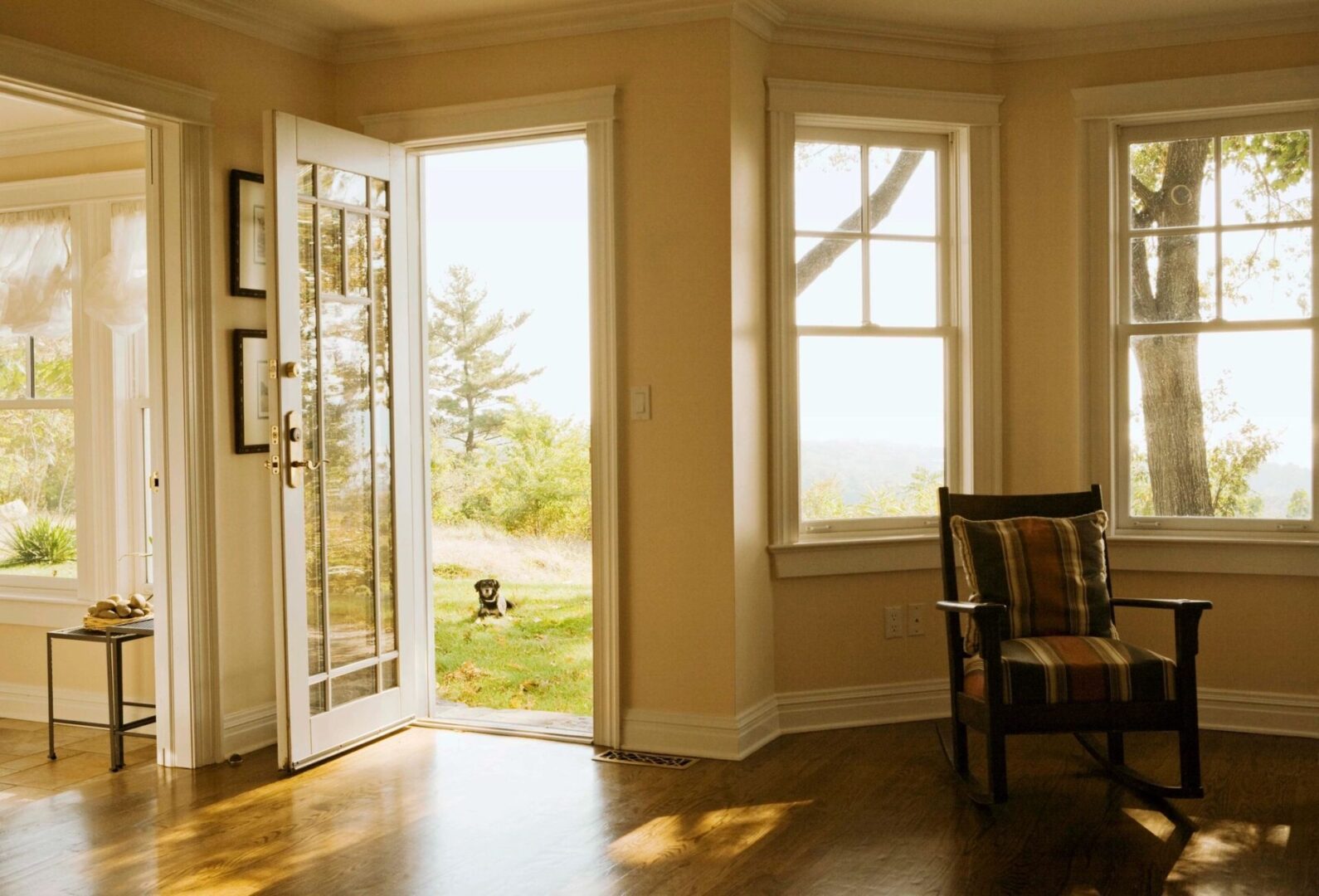 view of a room and a dog sitting outside